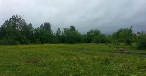 Участок в Калужская область, Перемышльский муниципальный округ, ...