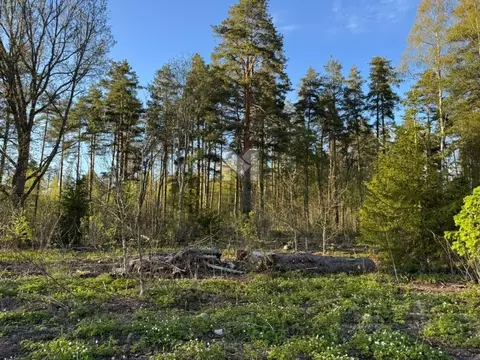 Участок в Ленинградская область, Выборгский район, Полянское с/пос, ...