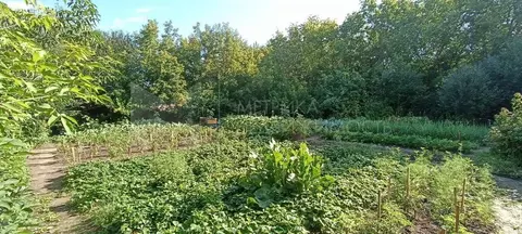 Участок в Тюменская область, Тюмень Микрорайон мыс, ул. Шоссейная, 8 ...