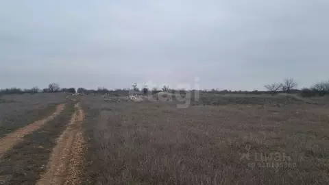 Участок в Крым, Сакский район, Штормовское с/пос, с. Хуторок  (6.5 ...