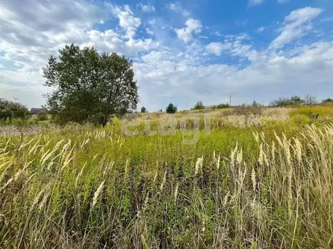 Участок в Брянская область, Брянский район, Добрунское с/пос, д. ...