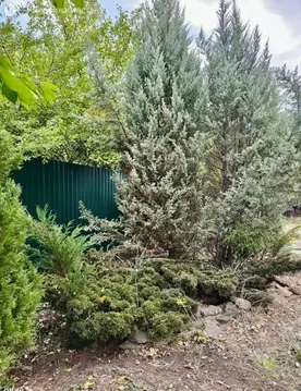 Участок в Ростов-на-Дону, улица Вавилова (6 м)