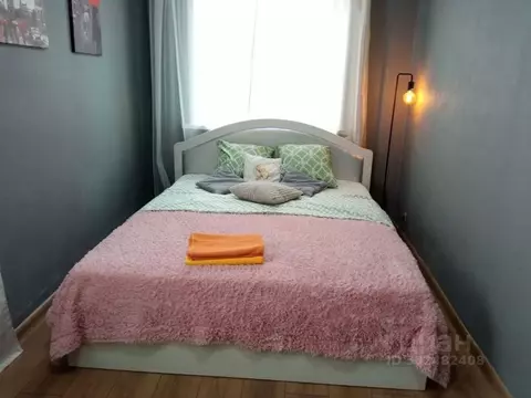 2-к кв. Алтайский край, Барнаул ул. Ползунова, 19 (45.0 м)