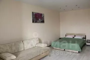 1-к кв. Волгоградская область, Волгоград Новороссийская ул., 8 (42.0 ...