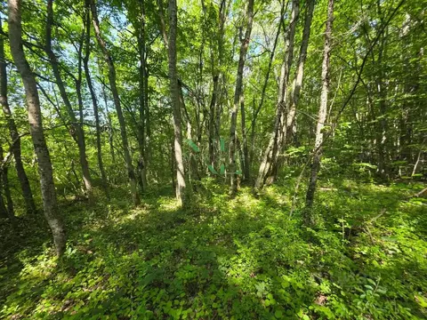 Участок в Адыгея, Майкопский район, Краснооктябрьское с/пос, Безводная ...
