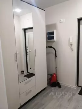 Студия Санкт-Петербург пос. Шушары, просп. Новгородский, 4 (30.0 м)