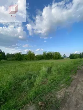 Участок в Алтайский край, Барнаул городской округ, пос. Бельмесево ул. ...