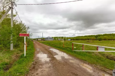 Участок в Хабаровский край, Хабаровский район, Мичуринское с/пос, ...