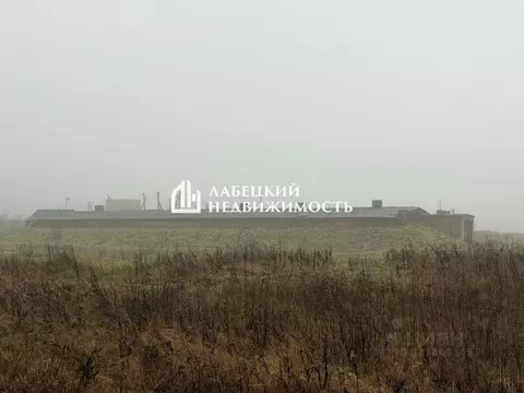 Помещение свободного назначения в Ленинградская область, Волосовский ...