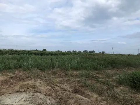 Участок в Краснодарский край, Темрюк Морская ул. (4.5 сот.)