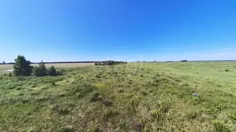 Участок в Тюменская область, Тюмень Ирбитский Тракт 3-й км от ...