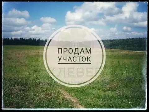 Участок в Башкортостан, Кушнаренковский район, Шариповский сельсовет, ...