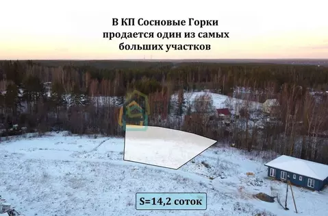 Участок в Ленинградская область, Приозерский район, пос. Сосново, ...