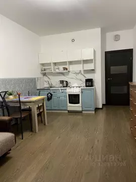 Студия Санкт-Петербург аллея Арцеуловская, 23к1 (25.0 м)