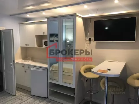 Студия Севастополь с. Орловка, ш. Качинское, 33-Б (22.0 м)