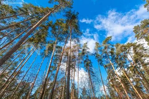 Участок в Одинцовский городской округ, посёлок дома отдыха Успенское, ...