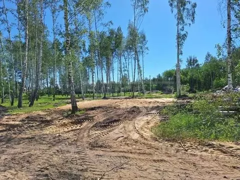 Участок в Воронежская область, Рамонский район, Айдаровское с/пос, с. ...
