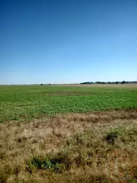 Участок в Крым, Сакский район, с. Уютное бул. Морской (60.0 сот.)