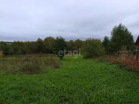 Участок в Вологодская область, Сокольский муниципальный округ, ...
