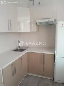 Квартира-студия: Благовещенск, Забурхановская улица, 42 (27.4 м)