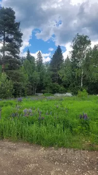 Участок в Московская область, Наро-Фоминский городской округ, пос. ...