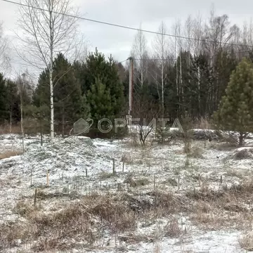 Участок в Тюменская область, Нижнетавдинский муниципальный округ, ...