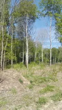 Участок в Калужская область, Малоярославецкий район, Недельное с/пос, ...