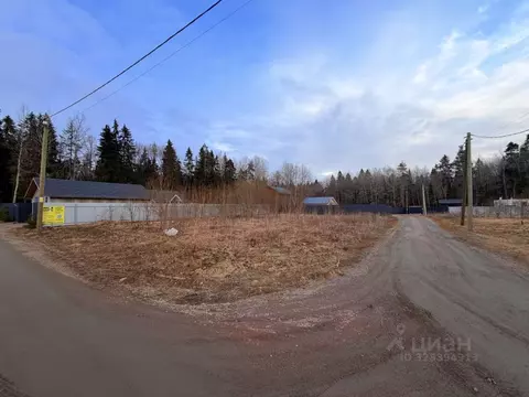 Участок в Ленинградская область, Волосовский район, Клопицкое с/пос, ...