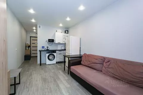 Студия Новосибирская область, Новосибирск ул. Забалуева, 102 (24.0 м)