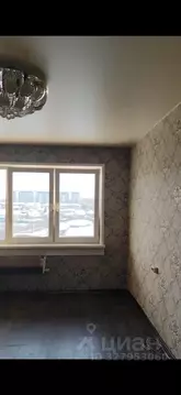 Студия Иркутская область, Иркутск ул. Авиастроителей, 28Б/1 (23.9 м)