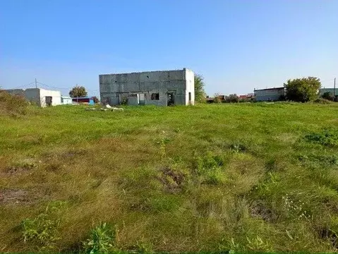 Участок в Челябинская область, Сосновский муниципальный округ, д. ...