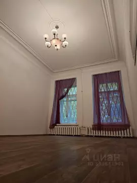 Офис в Санкт-Петербург ул. Большая Зеленина, 28 (45 м)