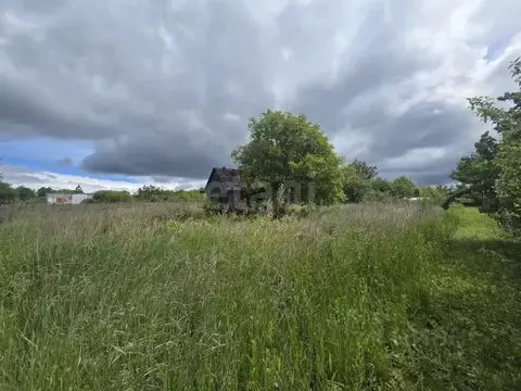 Участок в Курская область, Октябрьский район, Черницынский сельсовет, ...