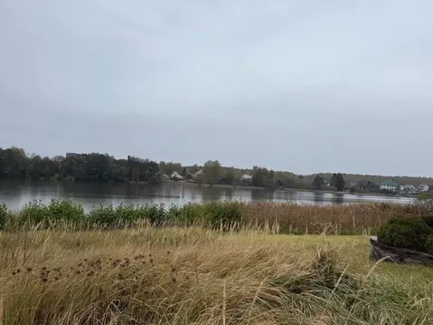 Дом в Тамбовская область, Тамбовский муниципальный округ, Новая Ляда ...