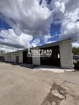 Склад в Санкт-Петербург дор. На Петро-Славянку, 7Х (262 м)