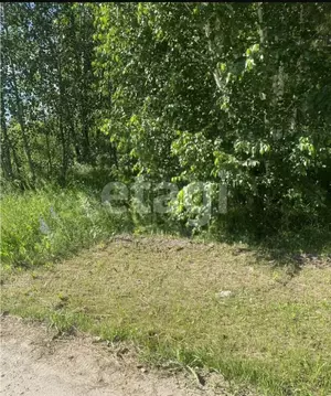 Участок в Алтайский край, Первомайский район, с. Санниково ул. ...