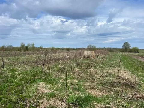 Участок в Вологодская область, д. Лучниково  (16.0 сот.)