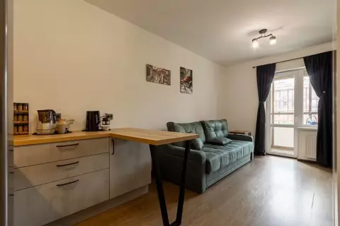 Студия Санкт-Петербург ул. Летчика Лихолетова, 14к2 (24.5 м)