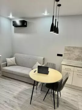 Студия Московская область, Красногорск ул. Александровская, 4 (24.4 м)