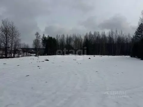 Участок в Кировская область, Кирово-Чепецкий район, Пасеговское с/пос, ...