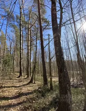Участок в Ленинградская область, Выборгский район, Полянское с/пос  ...