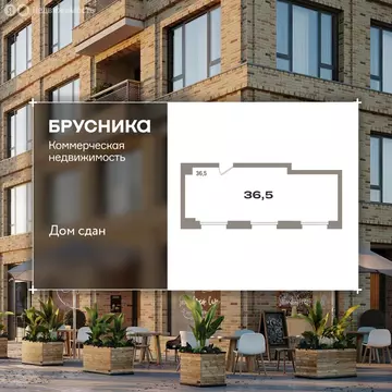 Помещение свободного назначения (36.8 м)