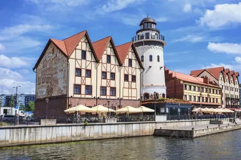 Комната Калининградская область, Калининград Октябрьская ул., 2 (10.0 ...