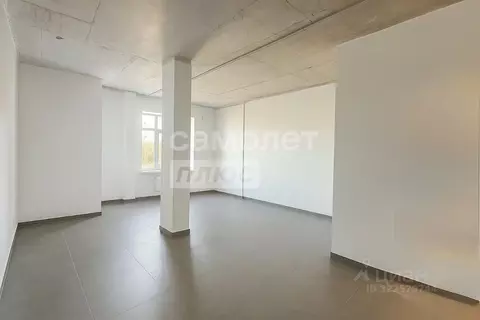 Помещение свободного назначения в Псковская область, Псков Овсище ...