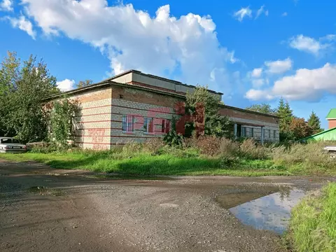 Помещение свободного назначения в Свердловская область, Екатеринбург ...