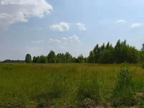 Участок в Московская область, Раменский муниципальный округ, КП ...