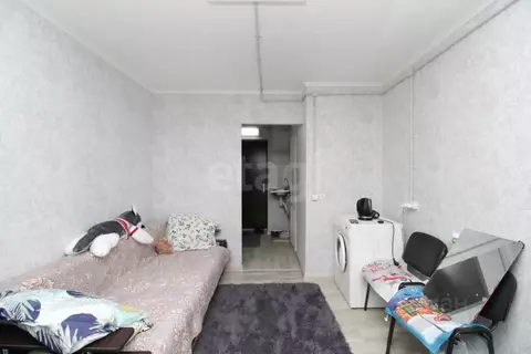 Студия Красноярский край, Красноярск Зеленая Роща мкр, ул. ...