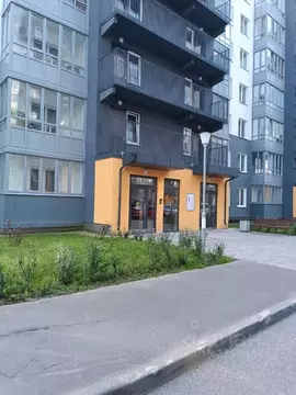 Студия Ленинградская область, Ломоносовский район, Виллозское ...