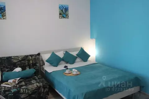 1-к кв. Свердловская область, Екатеринбург ул. Азина, 22/2 (30.0 м)