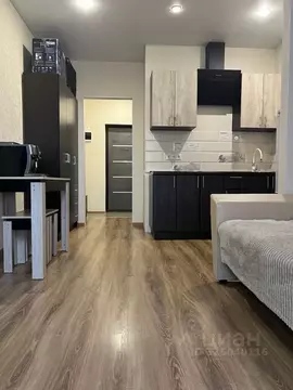 Студия Московская область, Красногорск городской округ, Путилково пгт ...